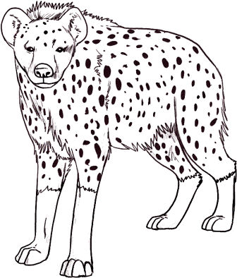hiena-para-dibujar